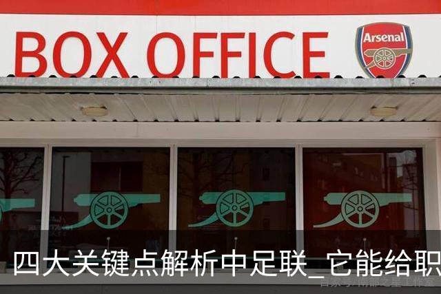 四大关键点解析中足联 它能给职业联赛带来哪些改变?